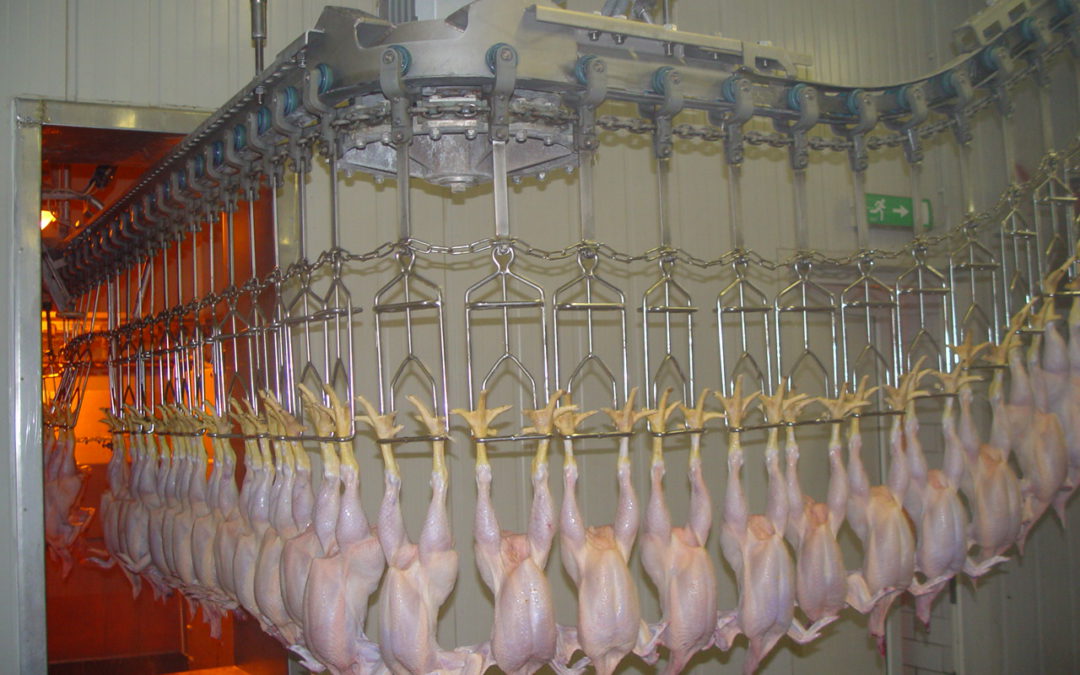 O salmonelách a&nbsp;salmonelóze v&nbsp;EU v&nbsp;roce 2024